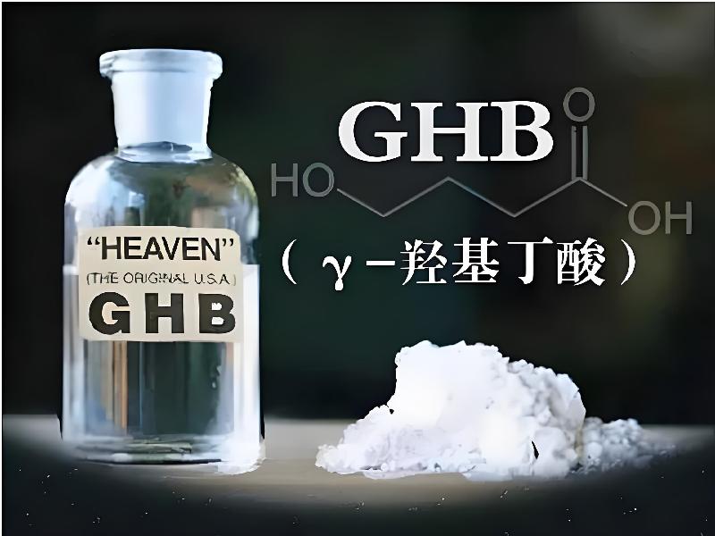 催药迷用5544-GLbo型号